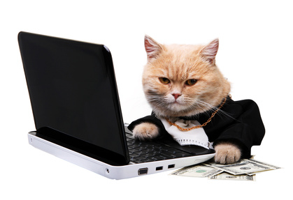 Katzen sind besser als investmentfondsmanager