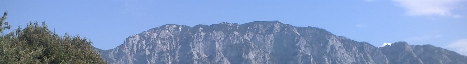 Leuschnerkonzept Finanzdienstleistungen